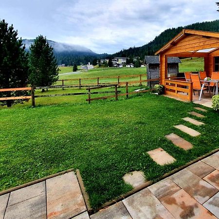 Almhaus Kaernten Flattnitz Экстерьер фото